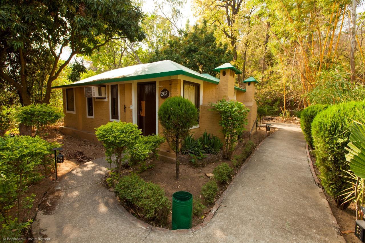 Bagheera Jungle Retreat Resort Ramnagar (Uttarakhand) Ngoại thất bức ảnh